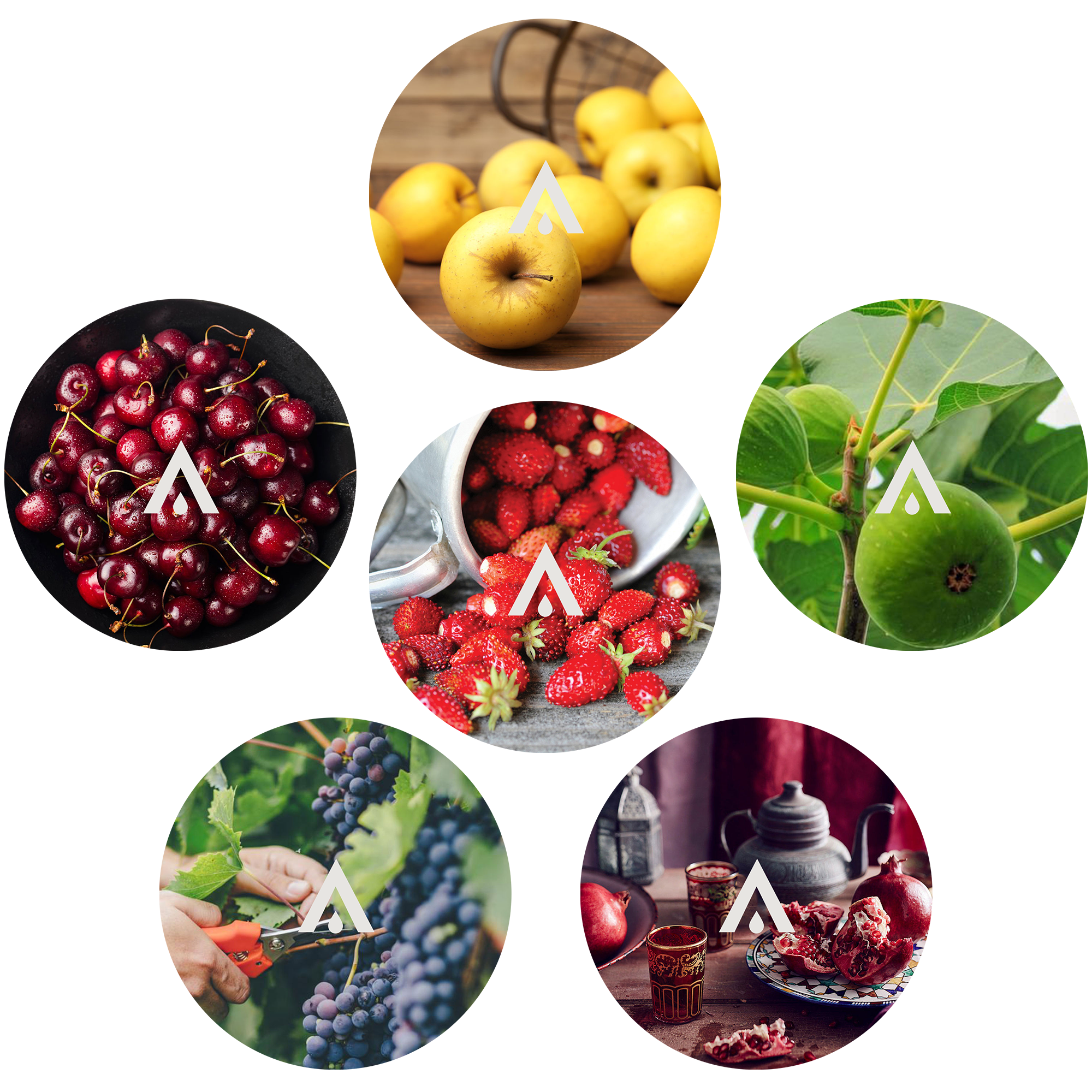 The Fruit Parlor Signature Bundle scents included