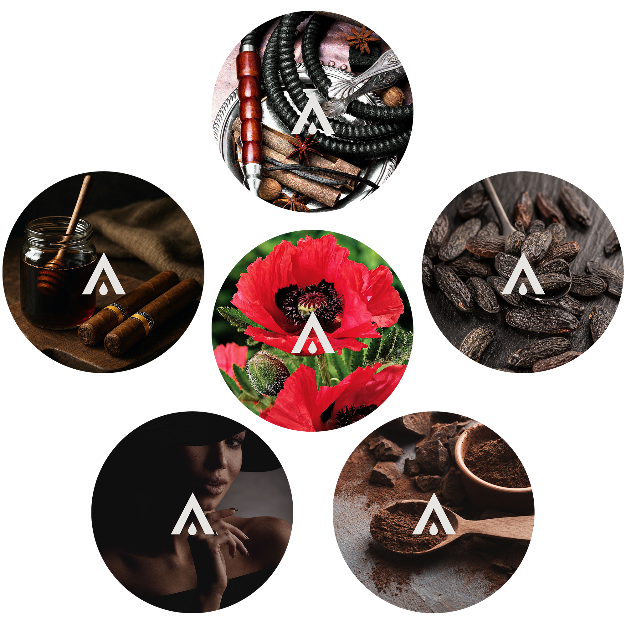 The Dark Elixirs Signature Bundle scents included