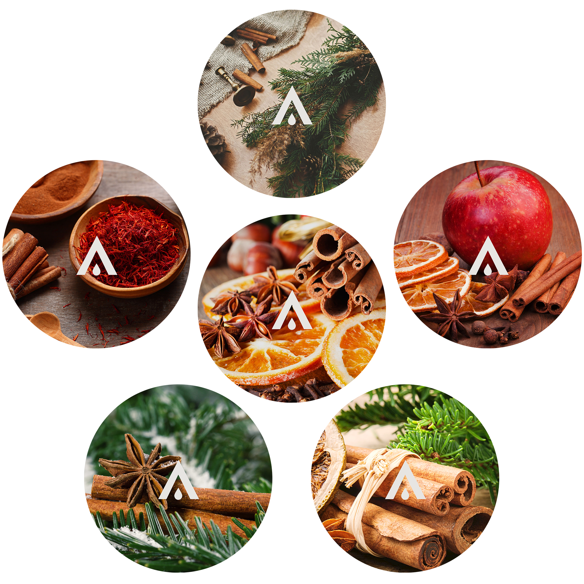 The Holiday Spice Signature Bundle of 6 christmas themed fragrance oils for diffusers