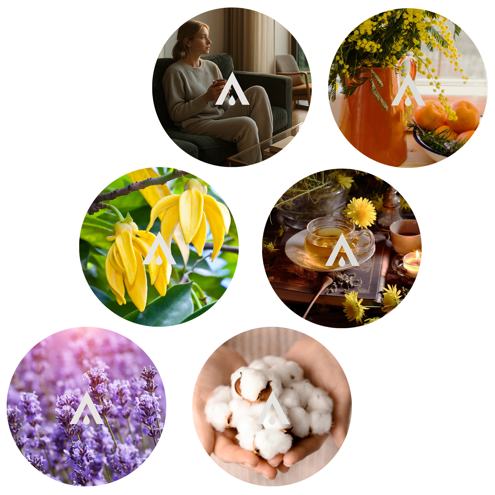 The Floral Serenity Harmony Set scents included