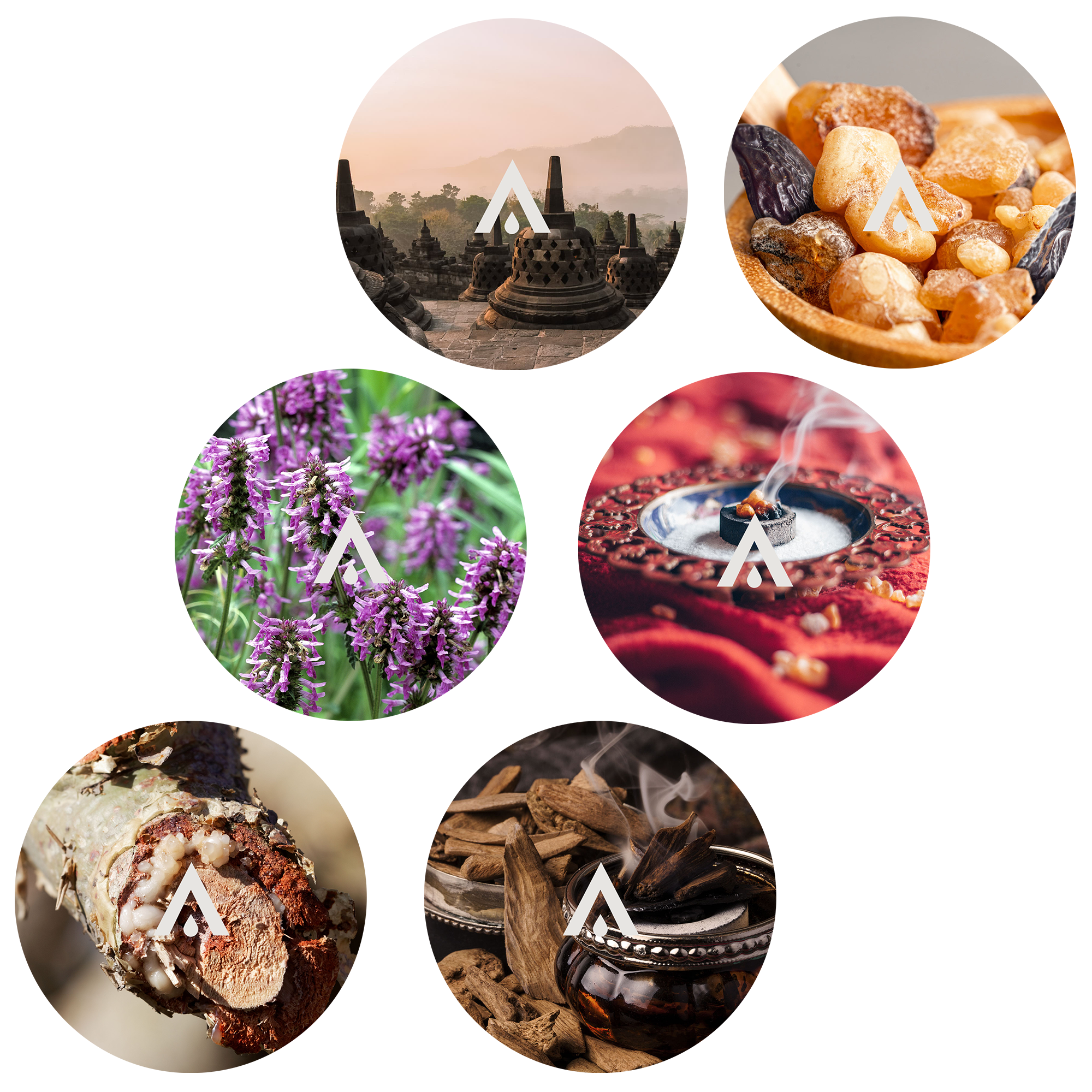 The Inner Sanctum Harmony bundle scents