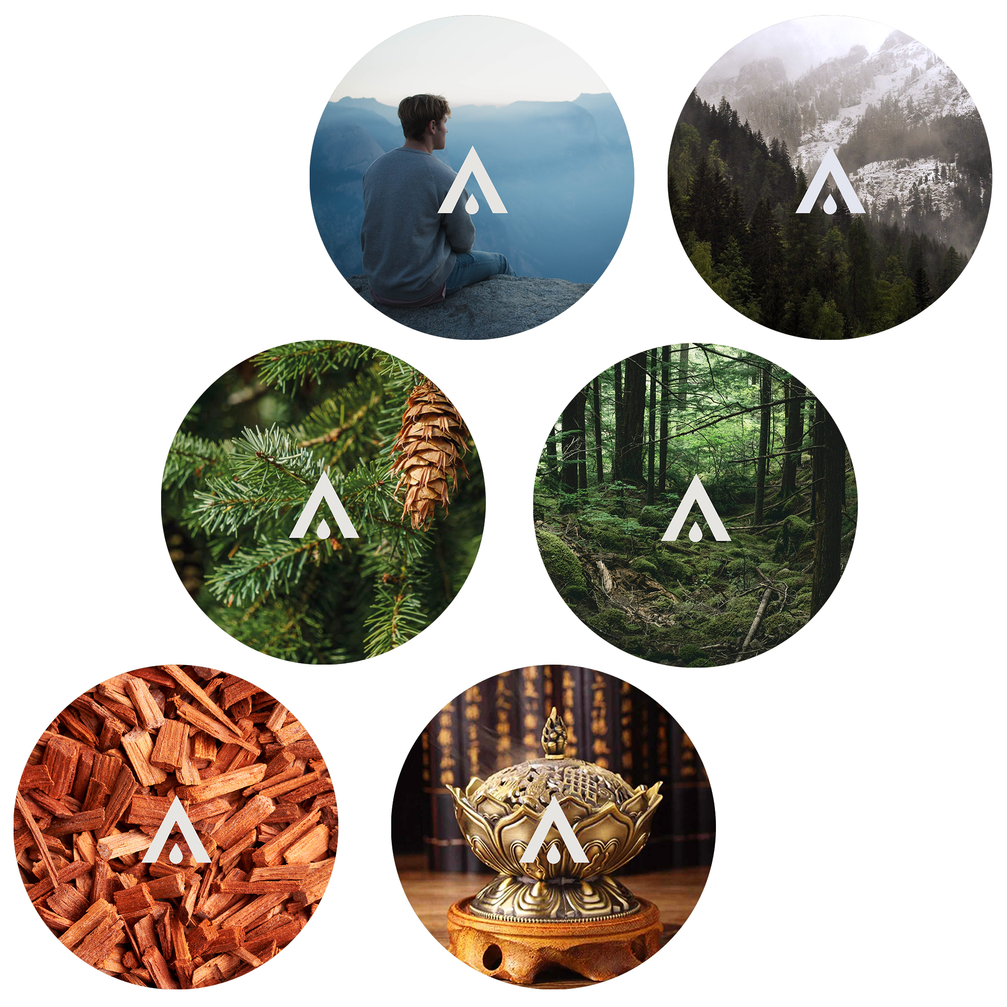 The Sacred Forest Harmony Set Aroma and Essential oils for diffusers