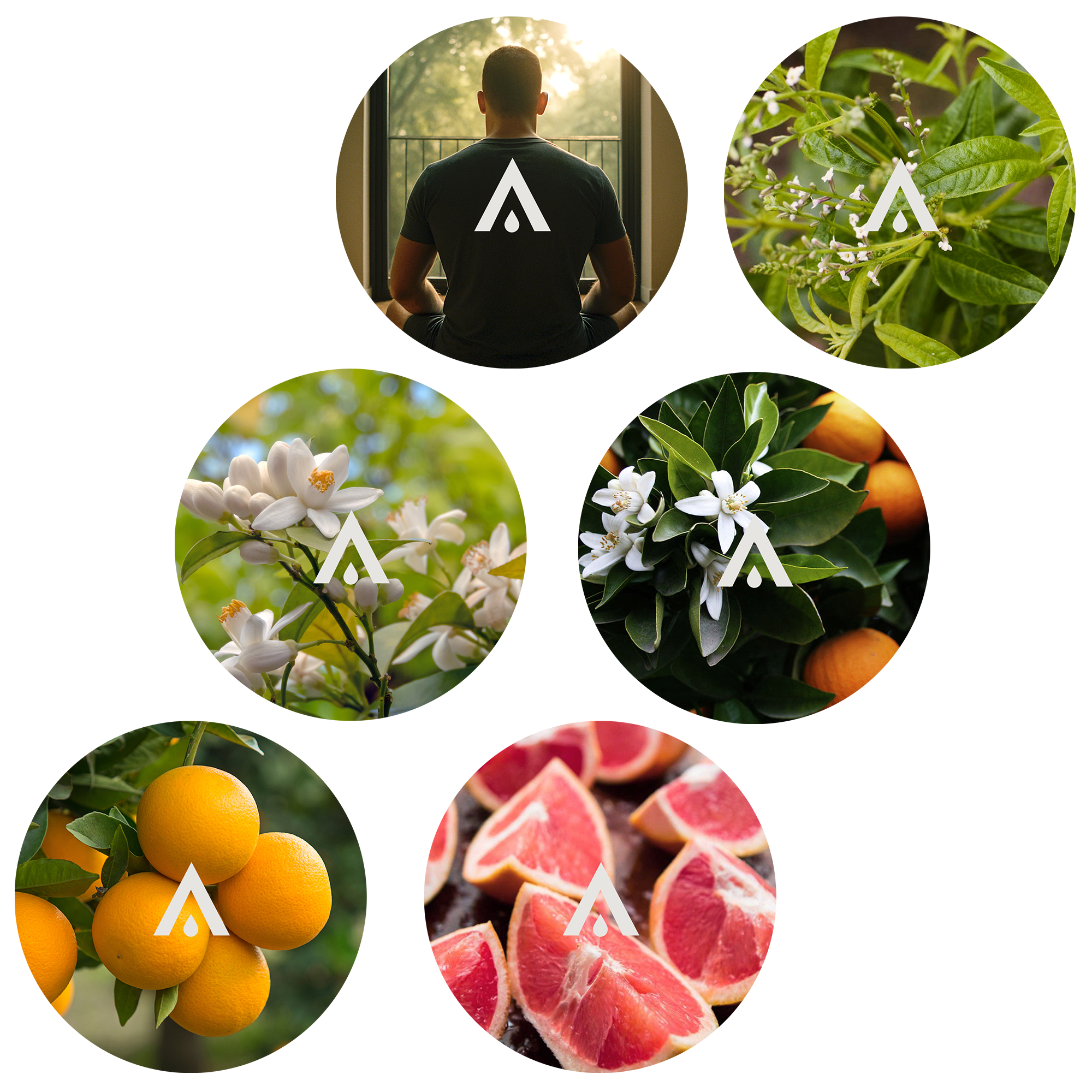 The Fresh Bloom Harmony Set for diffusers