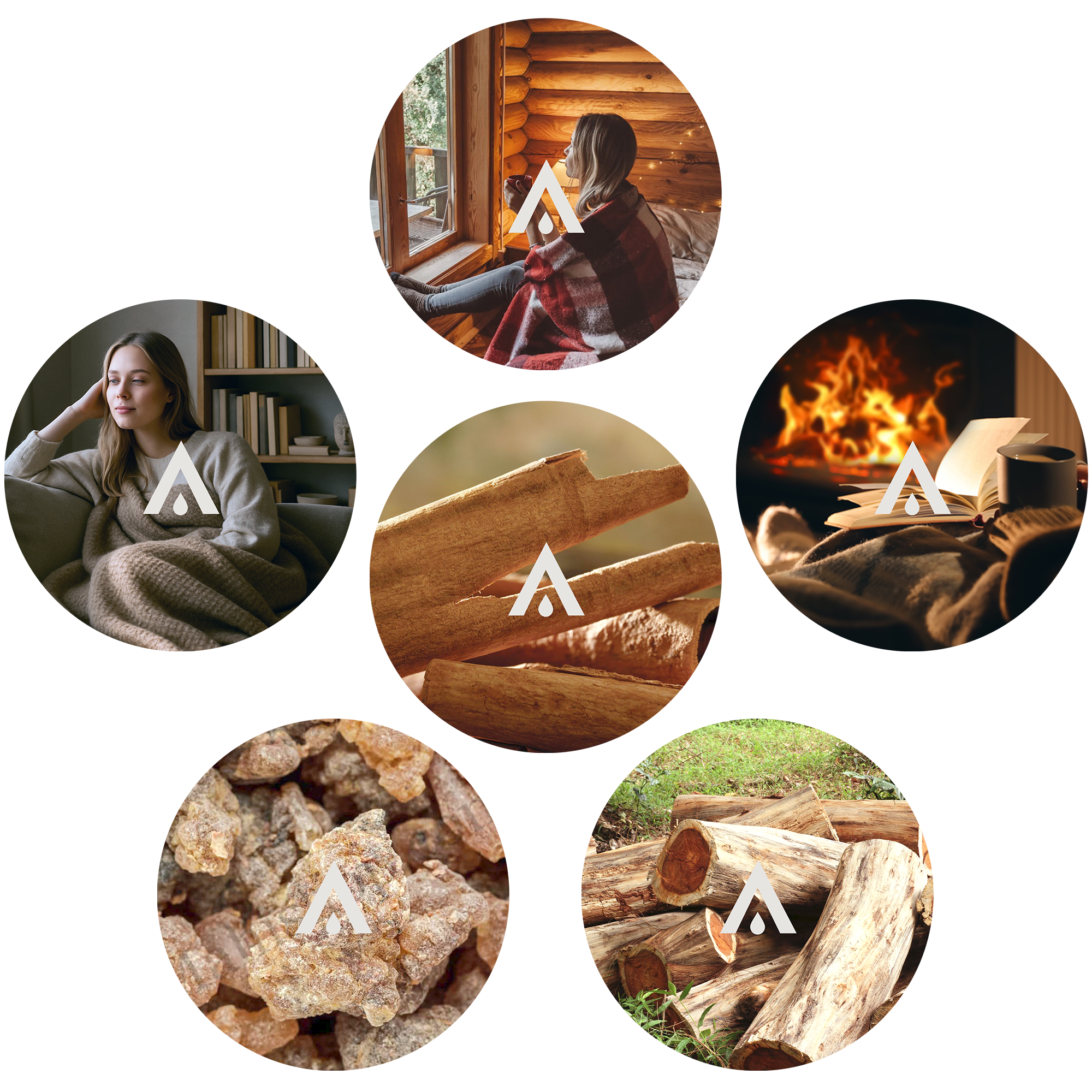 Cozy Essentials Discovery Kit essential oils included