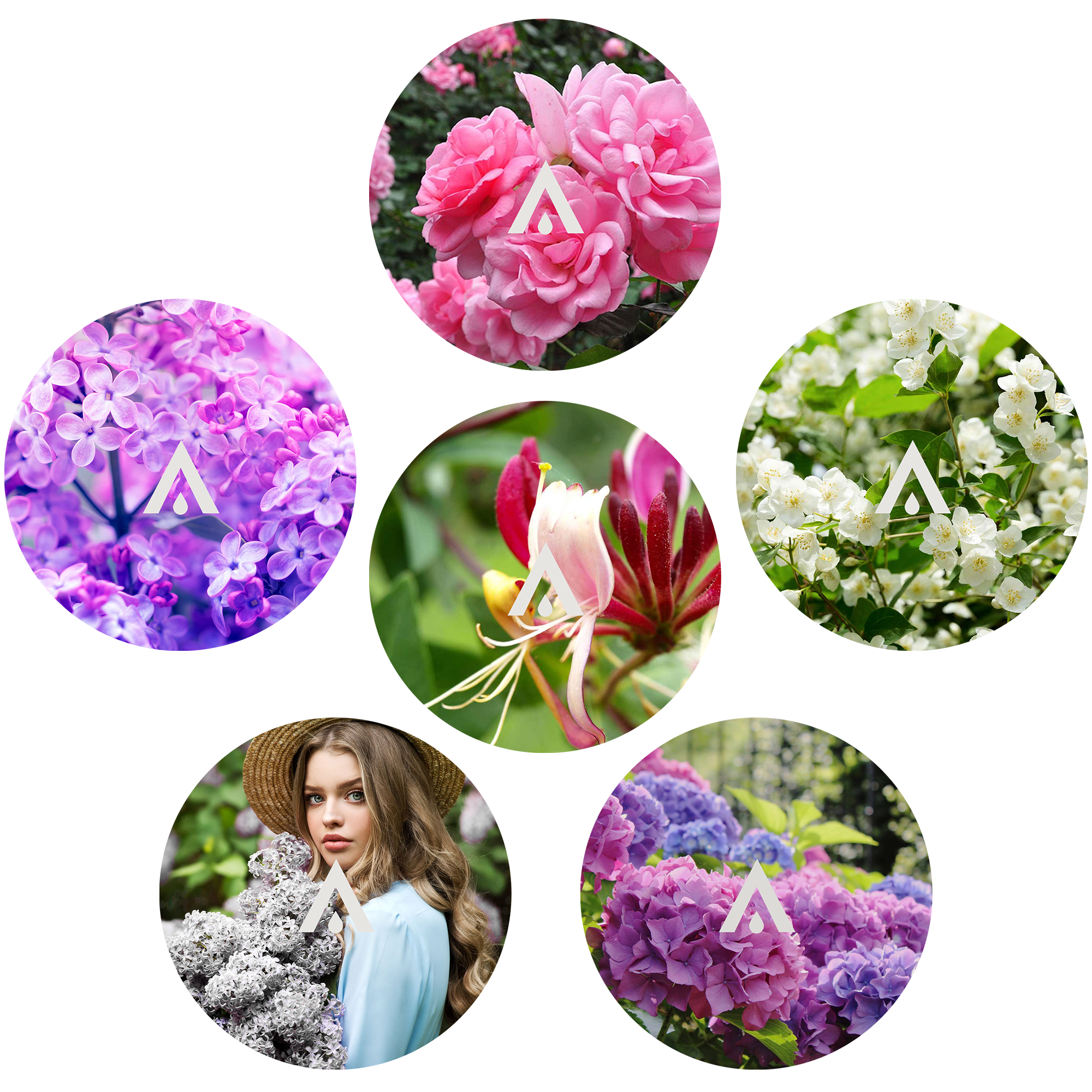 The Garden Collection Discovery Kit fragances included