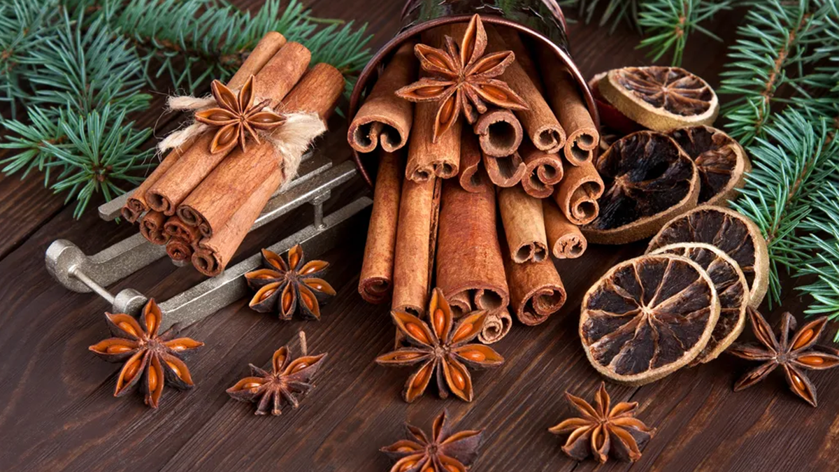 The Holiday Spice Diffuser Oil Bundle 